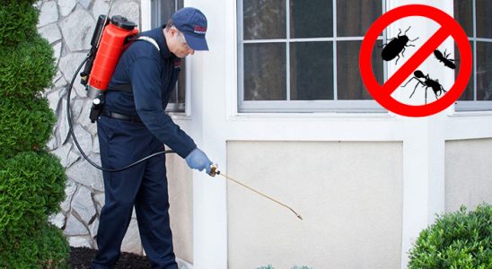 Yağcılar Dezenfeksiyon böcek ilaçlama ve haşere kontrolü — ilaclama-tr.com